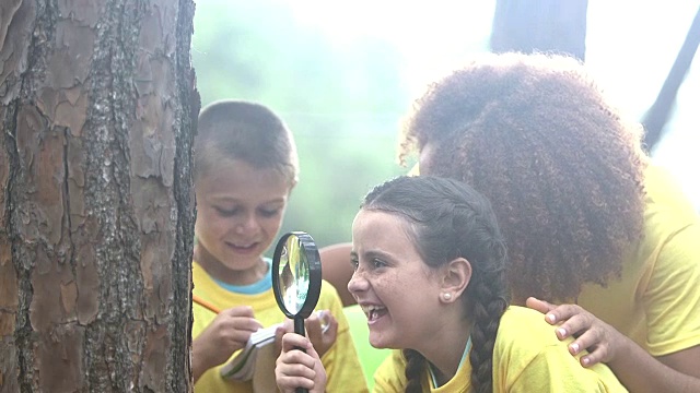 孩子们探索自然，夏令营或科学课视频素材