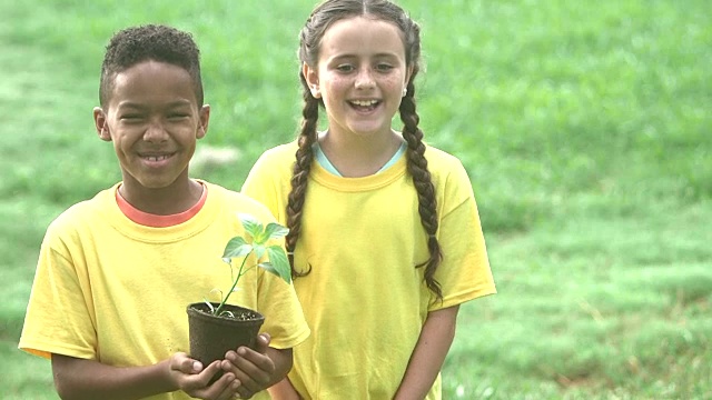多民族儿童用盆栽植物为园地视频下载