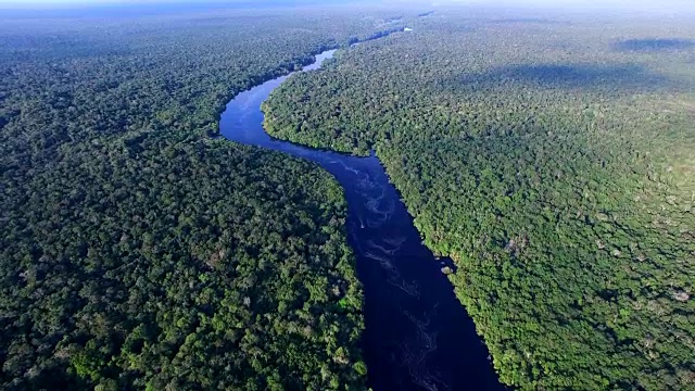 巴西的亚马逊河视频素材