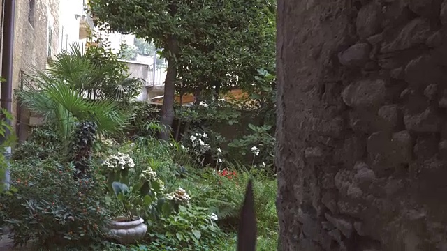 瑞士洛迦诺郁郁葱葱的绿色花园视频素材
