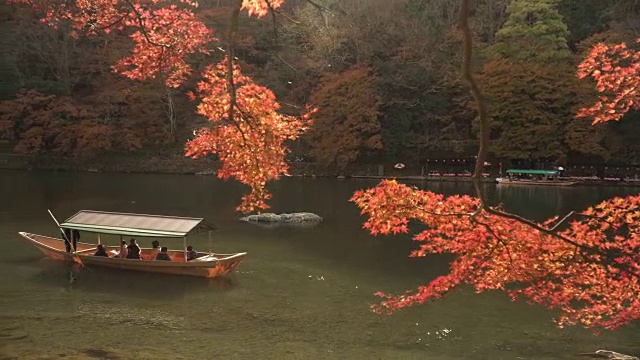 在岚山秋叶林中的桂河上的一艘当地船只视频素材