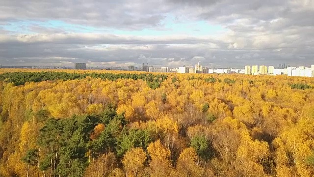 这座城市以秋天的森林为背景视频下载