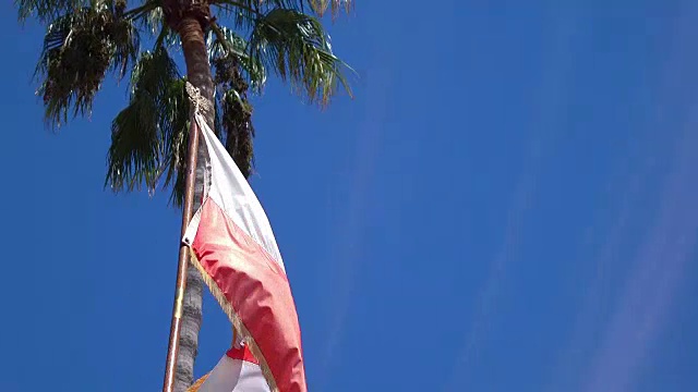 4K版本的波兰国旗视频视频素材