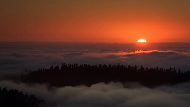 加州红木国家公园，太阳在雾海中落下视频下载
