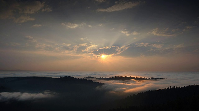 加州红木国家公园，太阳在雾海中落下视频下载