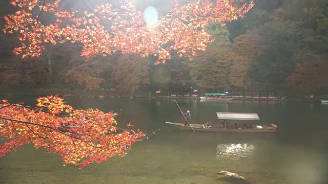 在岚山秋叶林中的桂河上的一艘小船视频素材