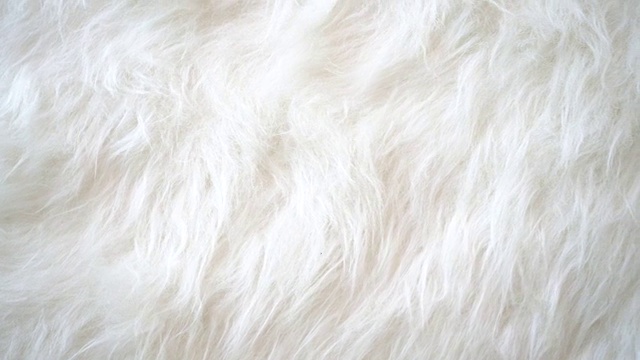白色动物毛皮背景。视频素材