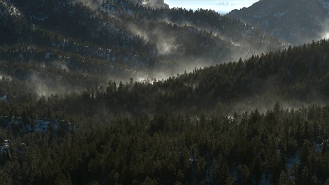 空中拍摄的雪从树上吹落视频下载