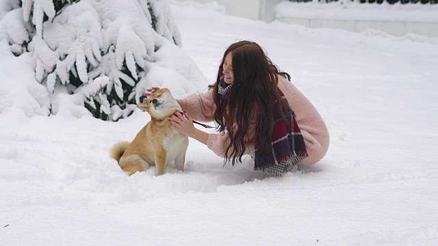 冬天里，一个头发飘逸的年轻女子和她的小狗在外面玩耍，围着雪白的白雪视频素材