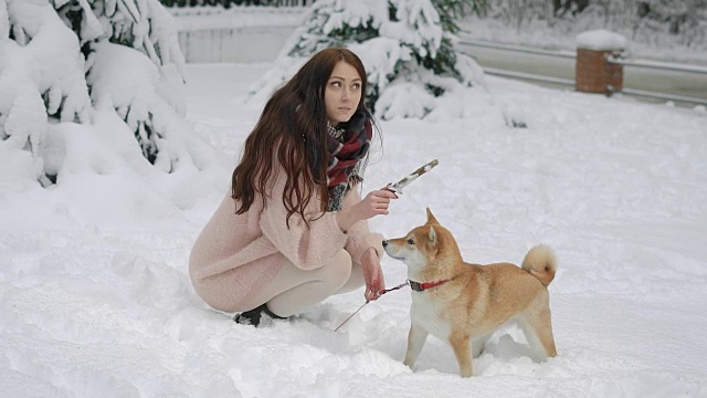 一个年轻的女人正在和她的宠物玩，一个女士想扔一根魔杖，这样狗就能跟着她跑视频素材