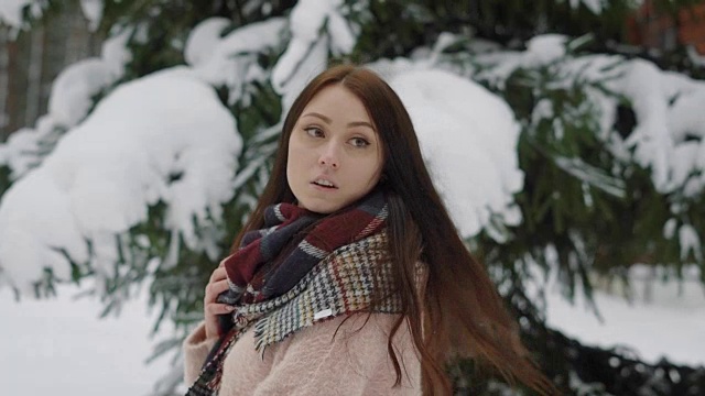一个女人的肖像谁走在她的头发在冬天的森林，雪躺在圣诞树上，女士转过身视频素材