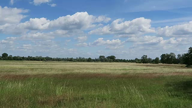 Havelland(勃兰登堡)的havel河草地。夏天的时间和云景。视频下载