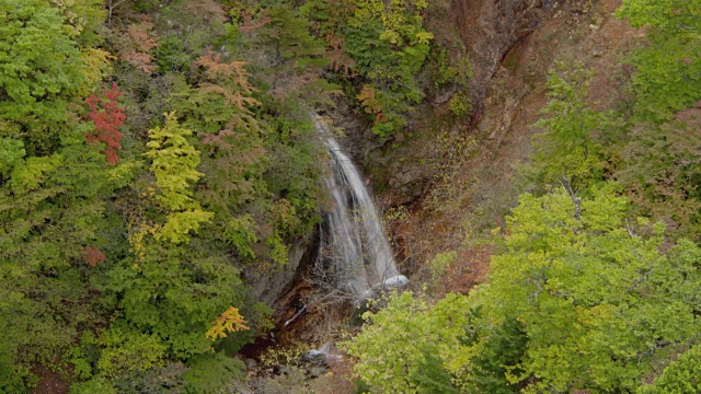 日本福岛，秋叶中的树木和一个小瀑布视频素材