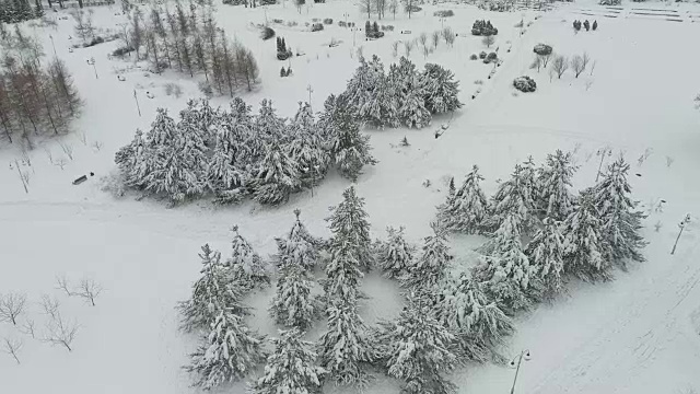 一场大雪后的费凡尼亚公园鸟瞰图视频素材