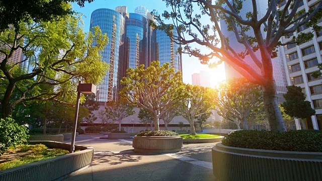 洛杉矶城市公园的4K版视频视频素材