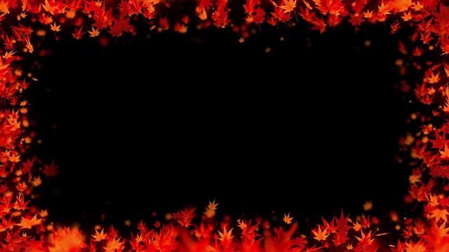 秋叶旋转，枫叶，CG动画，循环视频素材