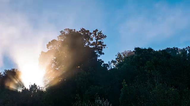 阳光透过森林与流动的雾，延时视频视频素材