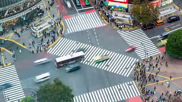 在涉谷十字路口广场上，步行者在拥挤的交通中穿行视频下载