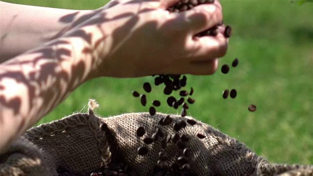 用慢镜头拍摄咖啡豆的视频视频素材