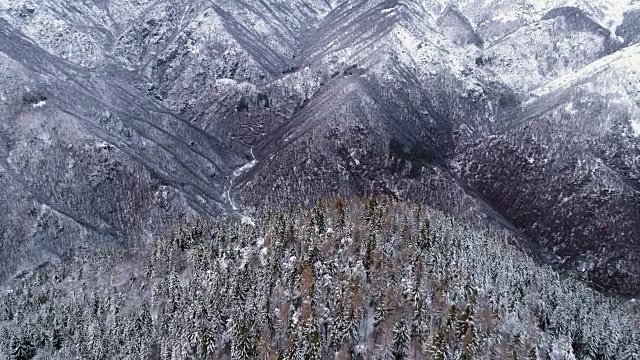 向前空中的高山山谷松树森林覆盖在雪在阴天的冬天。欧洲阿尔卑斯山户外自然景观雪山野生建立。4k无人机飞行建立镜头视频素材