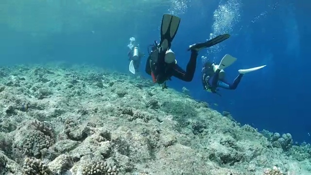 热带海洋珊瑚礁视频素材