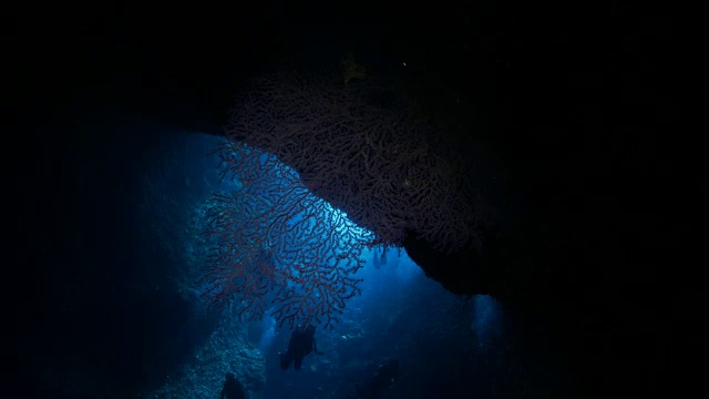 海底洞穴视频素材