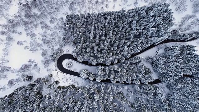 高空鸟瞰汽车行驶在山区冬季积雪覆盖的森林的发夹弯道上。白松树林。雪街道道路建立。4k无人机垂直飞行视频下载
