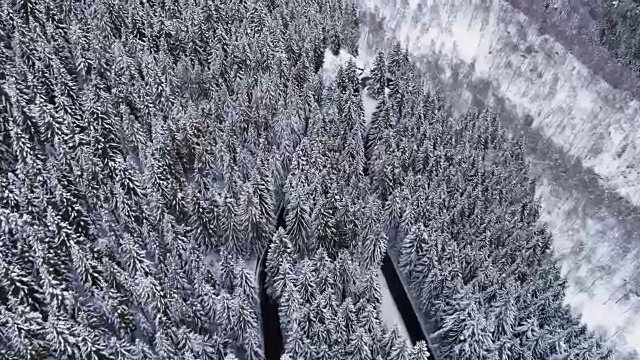 前空中鸟瞰图上的发夹弯转弯公路在山区积雪覆盖的冬季森林。白松树林。雪街道道路建立。4k无人机直飞建立视频素材