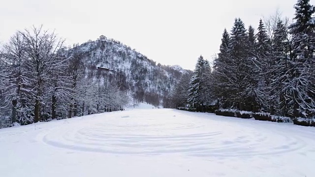 在多云的冬天，在松树林附近的高山积雪覆盖的田野上向前的航拍。欧洲阿尔卑斯山户外自然景观雪山野生建立。4k无人机飞行建立镜头视频素材