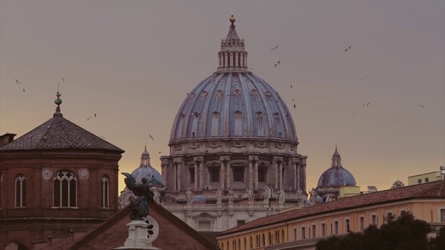 日落时的罗马城市景观:穹顶和天际线视频下载