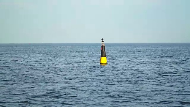 海中黄黑浮标，警告安全视频下载