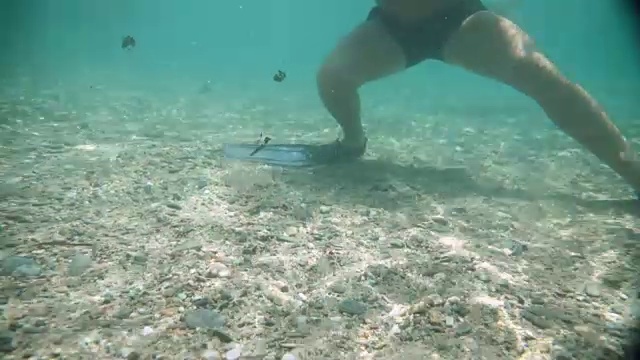 一个人在水下用脚蹼抓着视频素材