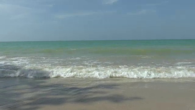 寇立海滩视频素材