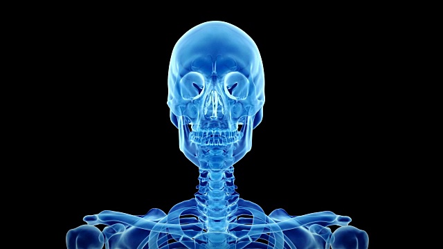 人类骨骼视频素材