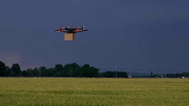 WS无人机带着盒子降落在田野中央视频素材