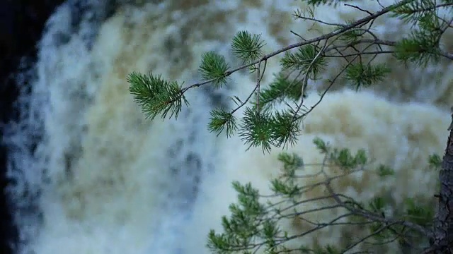 瀑布在背景模糊，树枝在前面聚焦视频素材