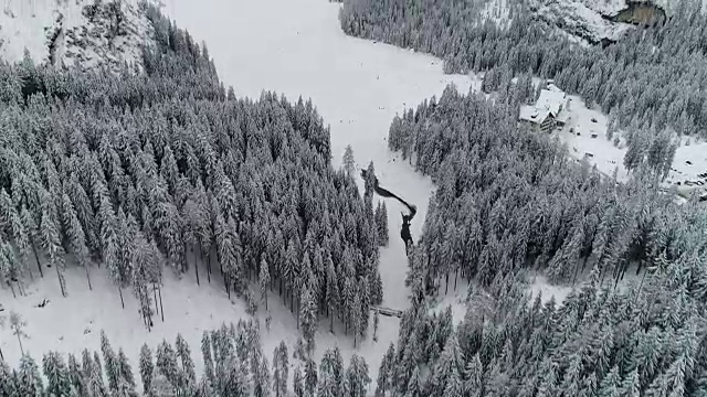 鸟瞰-冬季松林-意大利阿尔卑斯山视频素材