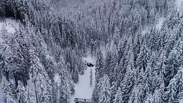 鸟瞰图|冬季和雪域森林|阿尔卑斯山视频素材