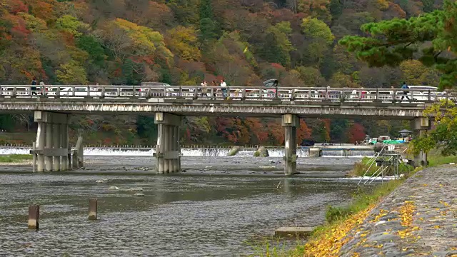 游客在日本京都岚山秋日参观月桥视频下载
