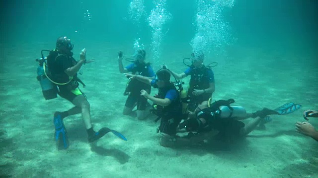 一群在水下学习水肺潜水课程的潜水员视频下载