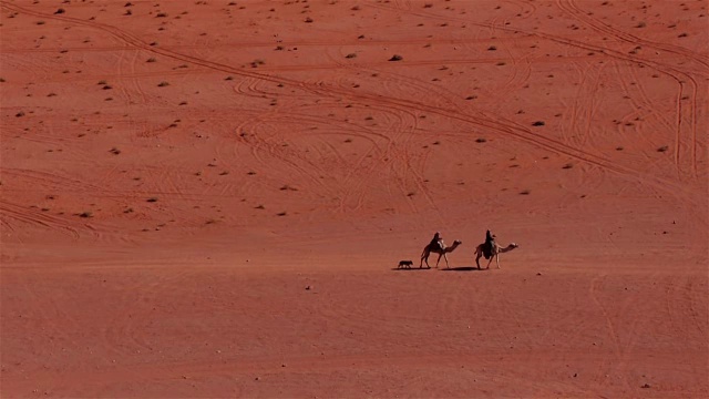 中东约旦瓦迪拉姆的沙漠中，贝都因人骑着骆驼带着一只狗视频素材