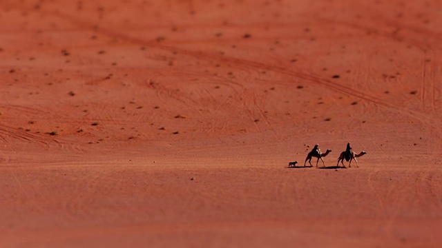 迷你效应:中东约旦瓦迪拉姆沙漠中，小贝都因人和一只狗在骆驼身上玩耍。Tilt-Shift。视频素材