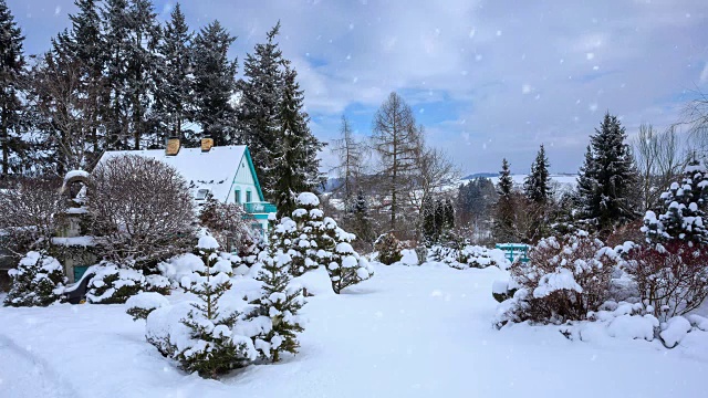 冬季花园无缝循环背景与雪花视频素材