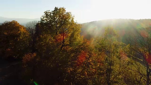鸟瞰图日出，日落的森林视频素材