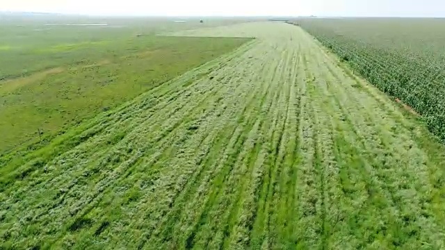 农业和农业/南非视频下载