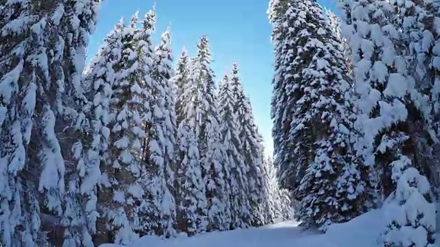 在一个阳光明媚的日子里，行驶在雪地里的单行道上视频下载