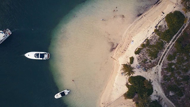 鸟瞰图的热带海滩在加勒比-大开曼岛视频素材