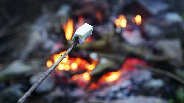 篝火上烤棉花糖的视频视频素材