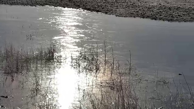 太阳下的冰湖视频素材