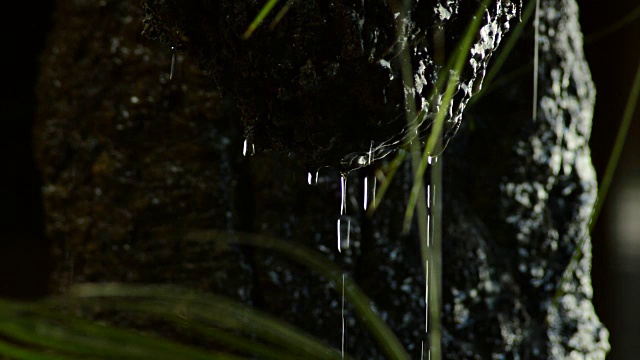 水滴从钟乳石中滑落视频素材